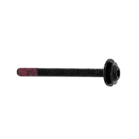 5612311448 Oven Door Screw M4X44 Electrolux Oven/Stove