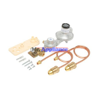 6060534BR Gas Regulator Bromic Gas - Dual Bottle.